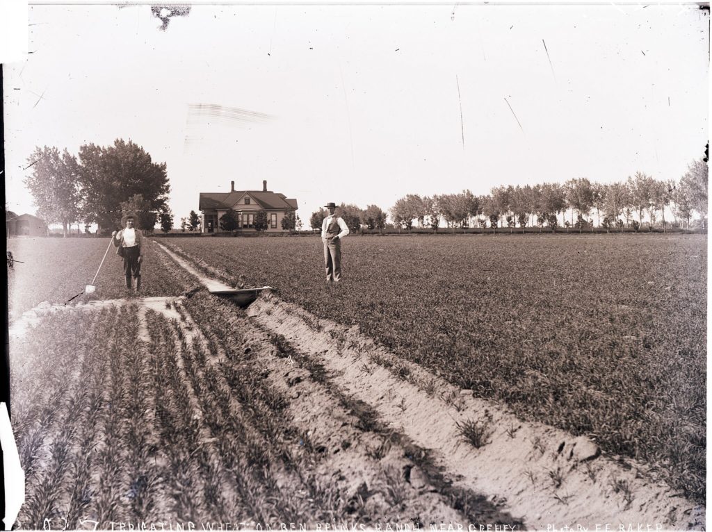 first major agricultural settlement