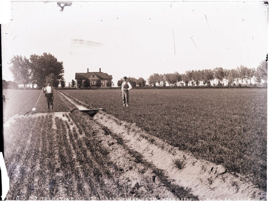 first major agricultural settlement