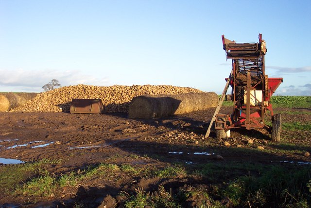 Spreckels Sugar plant