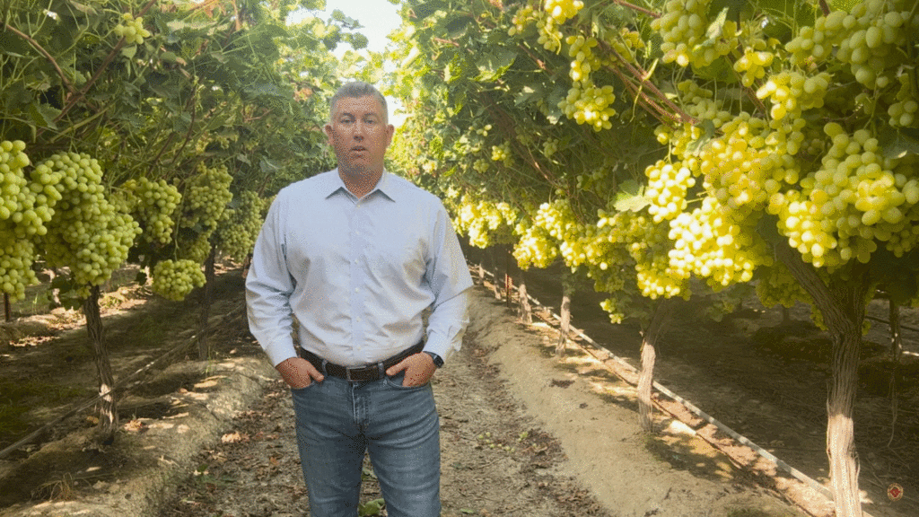 California Table Grape Commission