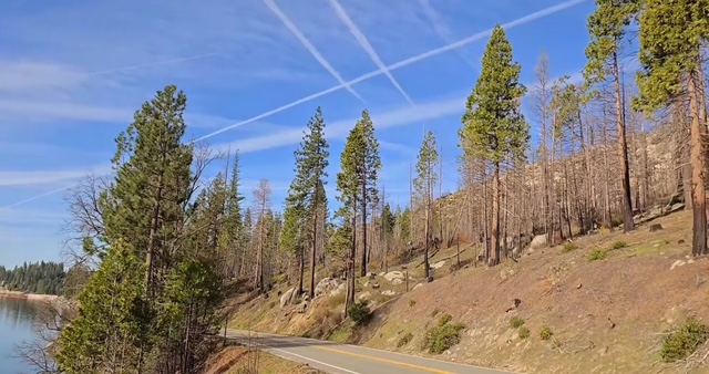 boost American timber