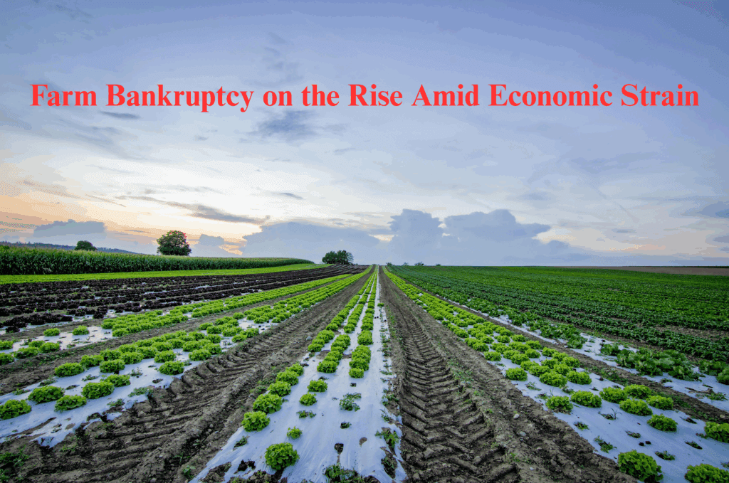 farm bankruptcy