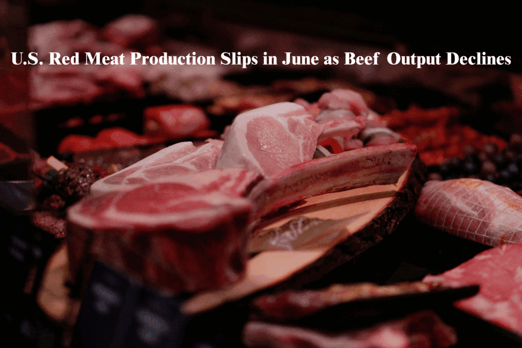 Red Meat Production
