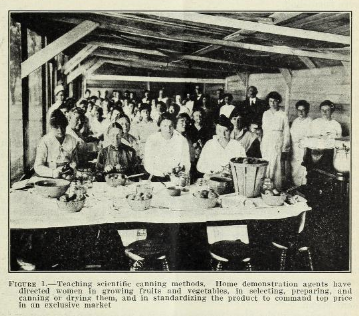 USDA Extension Service