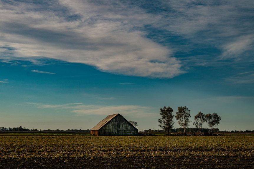 early American farming