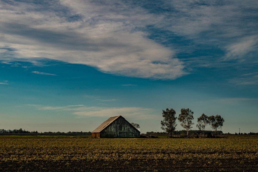Early 19th Century Farming Shaped America’s Economy