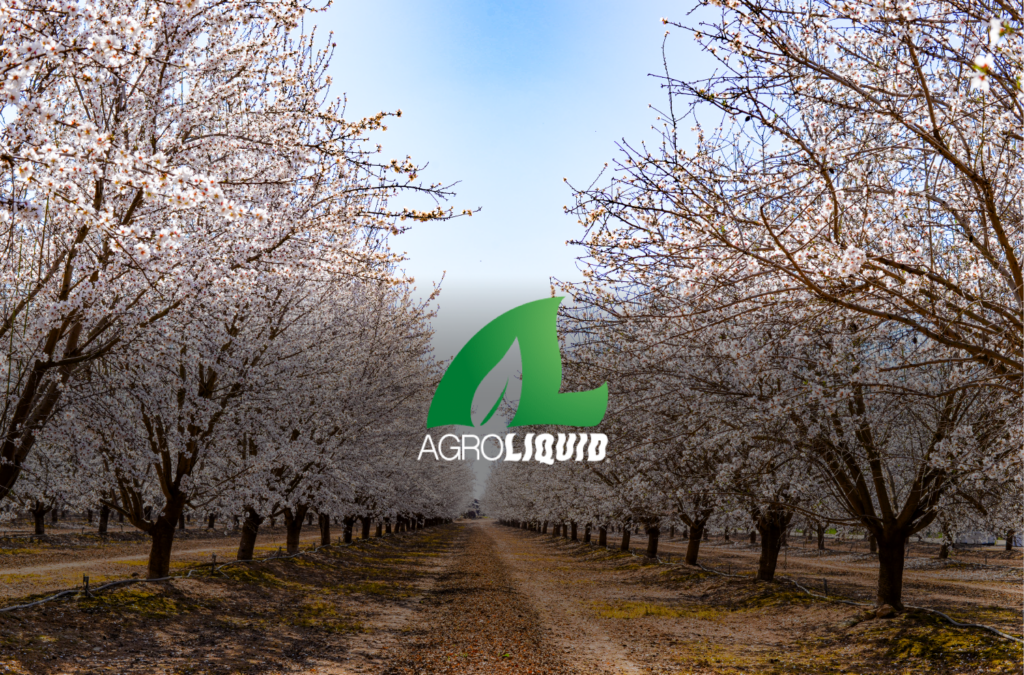 Bloom Window Nutrition: Key Considerations for California Tree Crop Growers