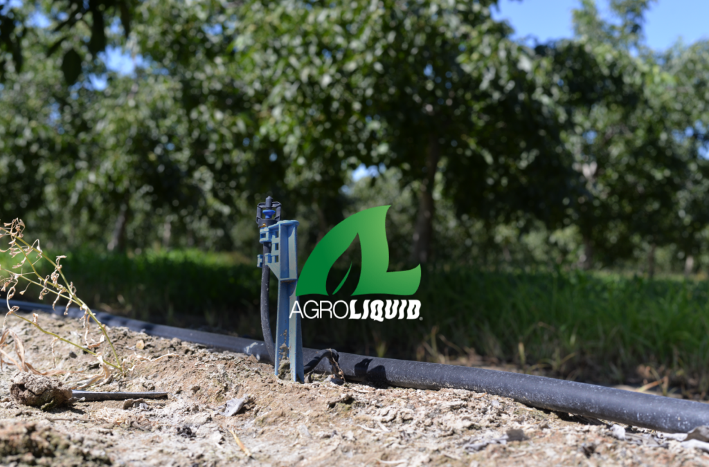 Spring Fertigation Strategies to Improve Efficiency in Tree Crops