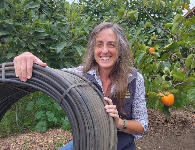 Featured image for “Food Dyes, Kids, and Behavior: One Family’s Story”