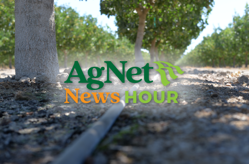 Carbon Robotics Brings Laser Weeding and Autonomous Tractors to Center Stage