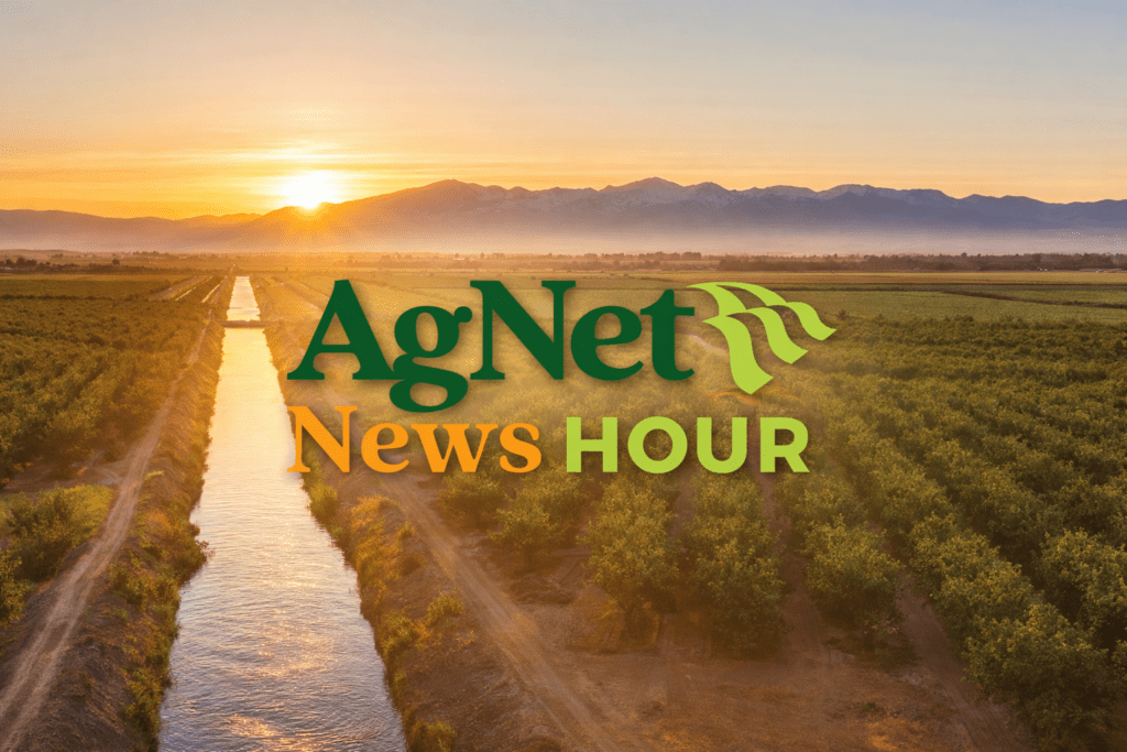 California water policy
