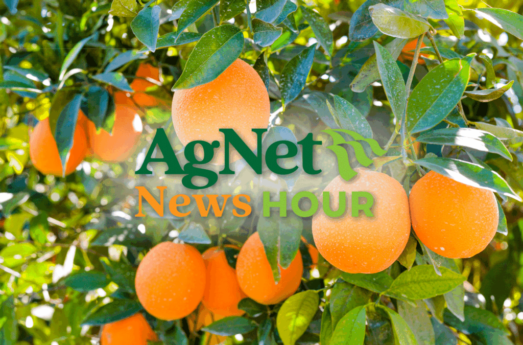 Dave Roberts Says California Farmers Are Being Squeezed From Every Direction