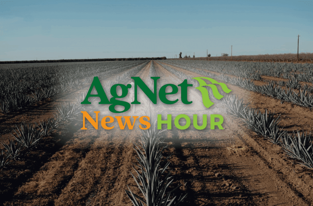 Agave Innovation on the West Side; Stuart Wolf and Family Look Toward Farming’s Future