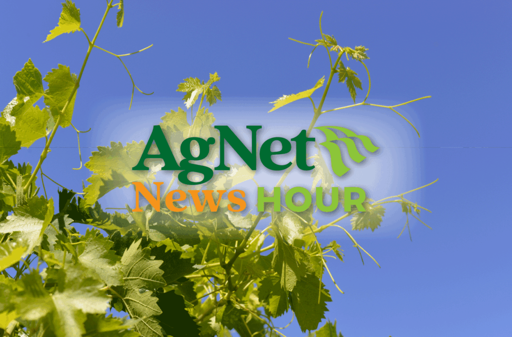 California Wine Industry Faces Turning Point; Nicholas Karavidas Breaks Down Challenges and Opportunities