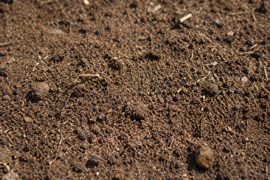 Managing Hidden Nematode Threats in High-Value Crops