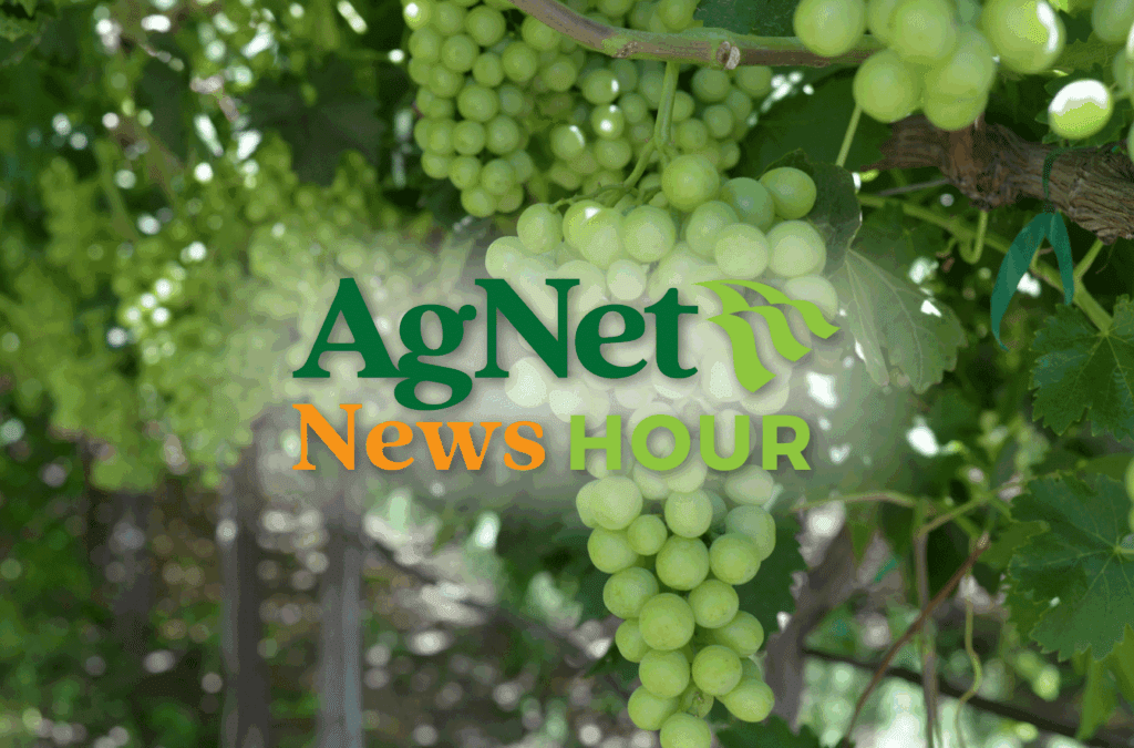 Allied Grape Growers