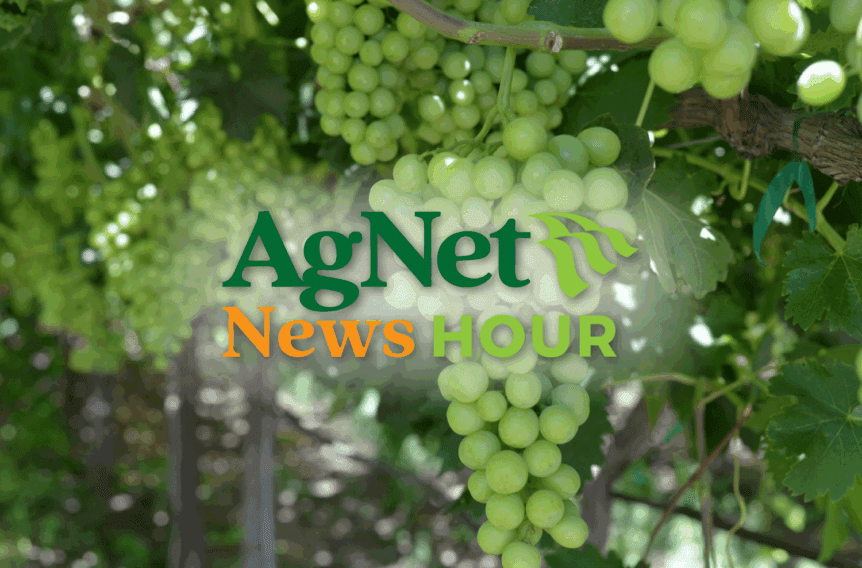 Allied Grape Growers
