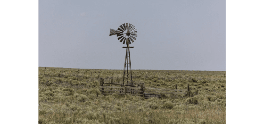 Daniel Holliday Windmill
