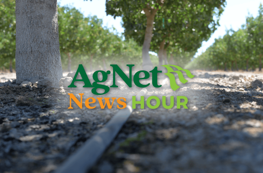 post-harvest pistachio management