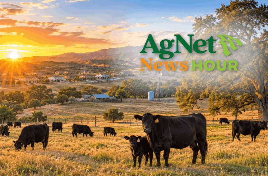 California grazing land