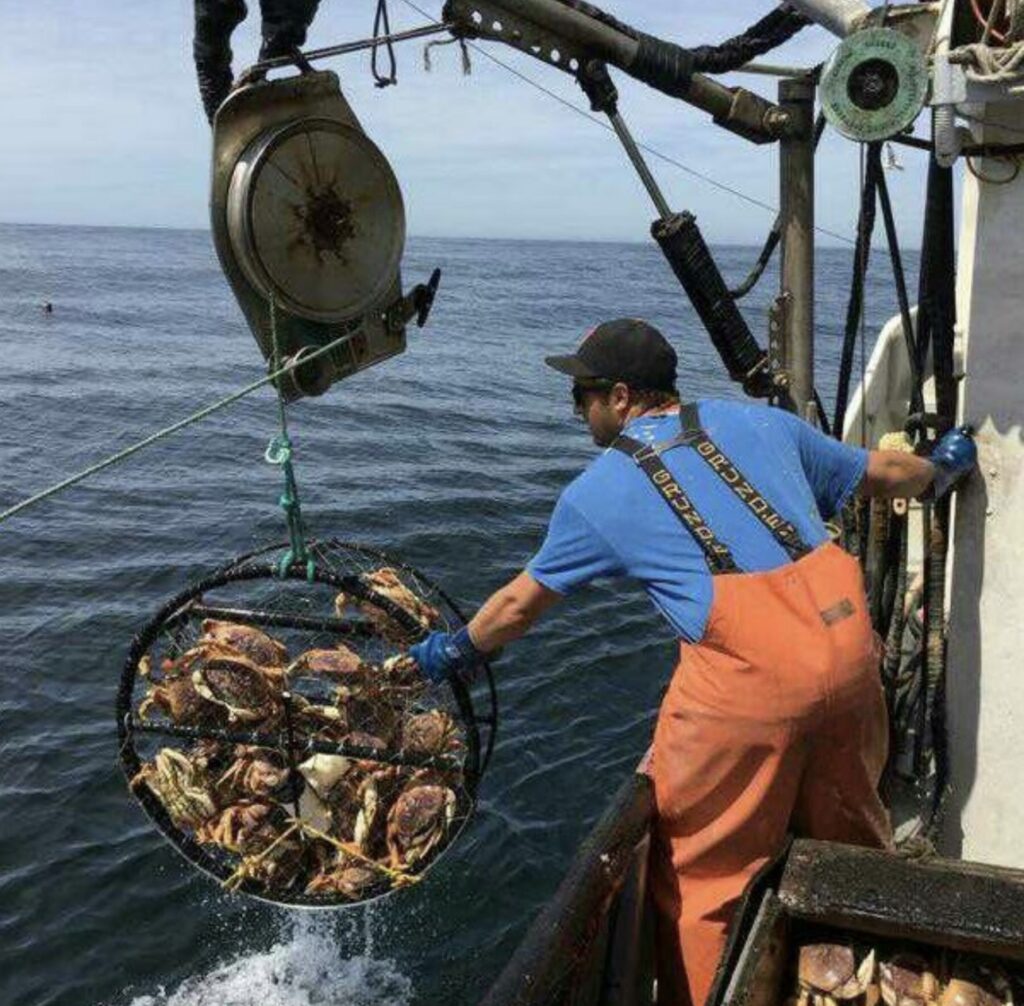California Fishing Industry