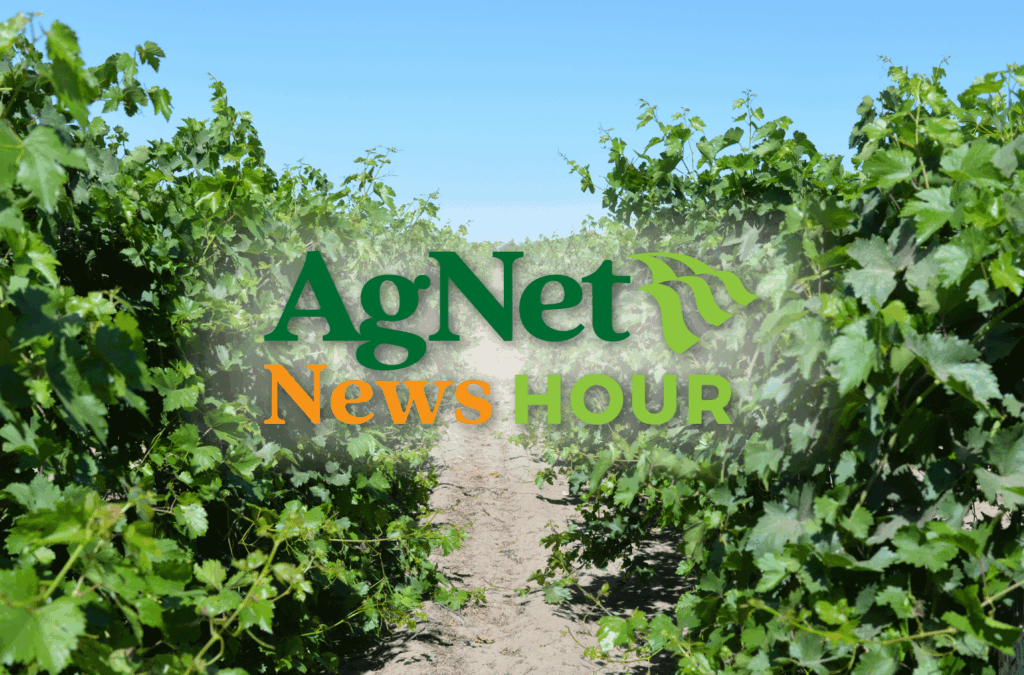 Featured image for “Jeff Smutny Part 2: Reinventing California Raisins for a New Generation”