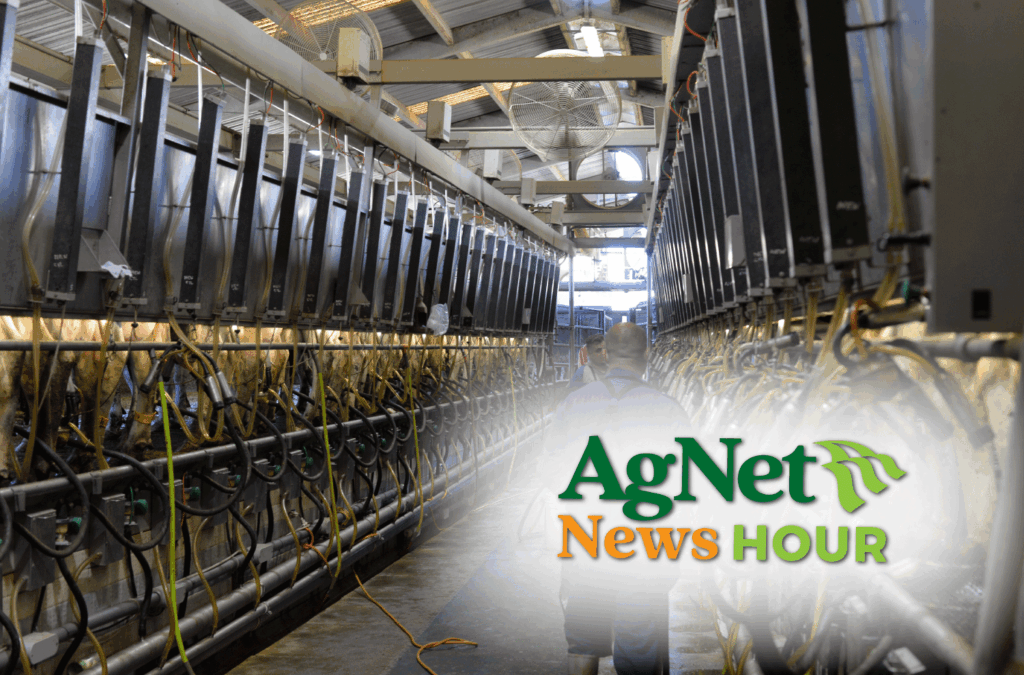 Featured image for “Rosa Brothers Part 2: Innovation Helps a California Dairy Keep Growing”