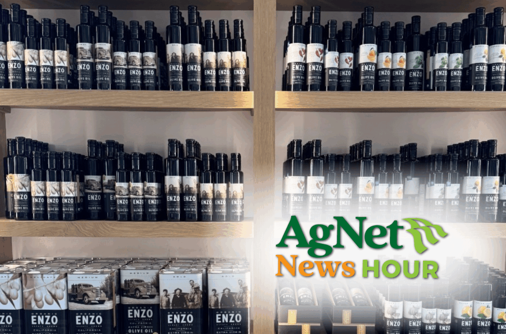Featured image for “From Stone Fruit to Olive Oil: How a California Farm Reinvented Itself”