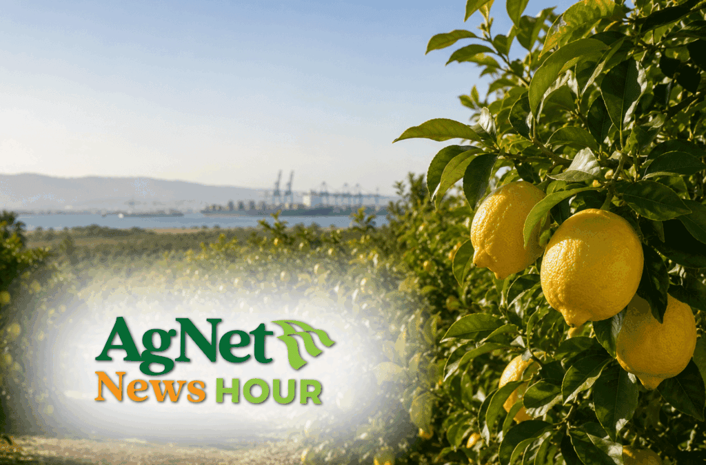 California Citrus