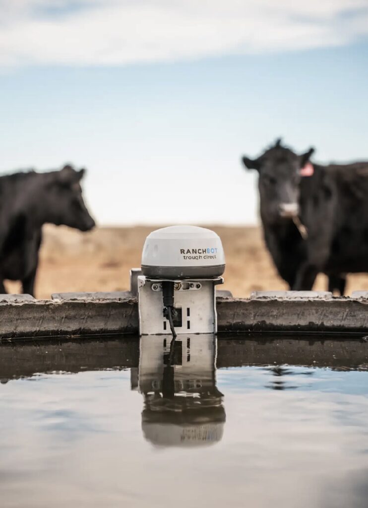 ranchbot