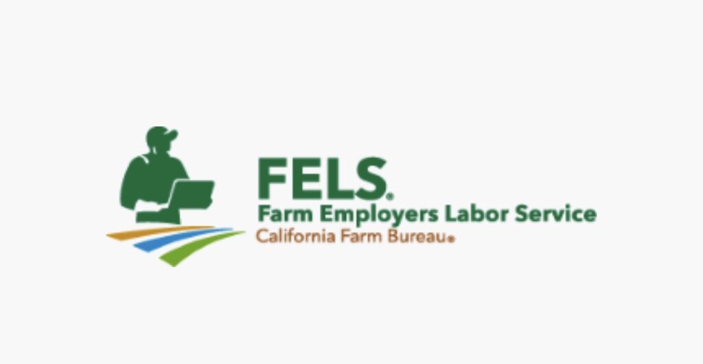 fels