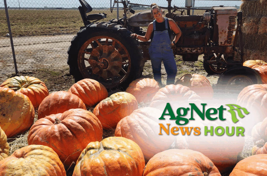 Featured image for “Van Groningen & Sons Combines Pumpkin Tradition with New Ideas”
