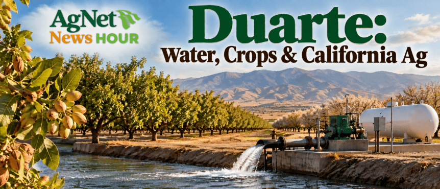 California agriculture water and energy