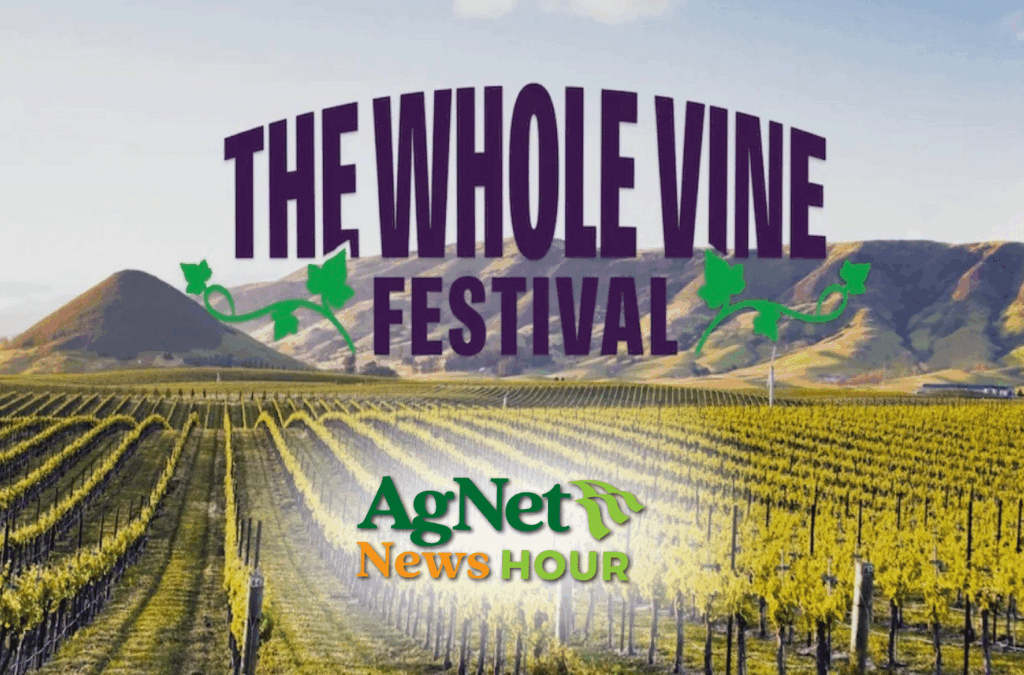 Whole Vine Festival