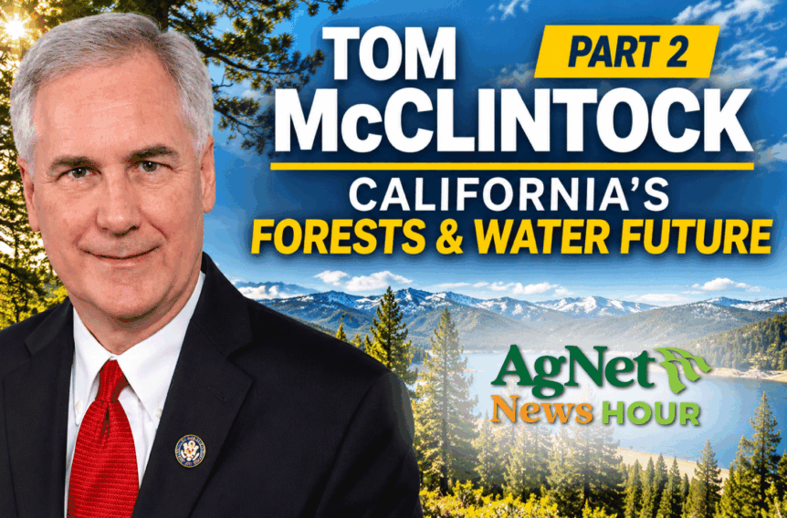 Tom McClintock California forest management